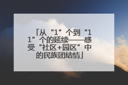 从“1”个到“11”个的延续——感受“社区+园区”中的民族团结情