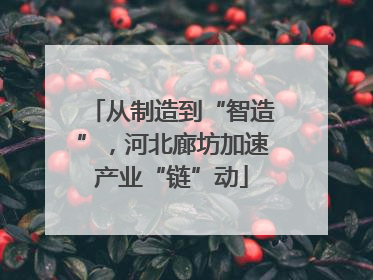 从制造到“智造”，河北廊坊加速产业“链”动