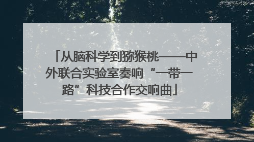 从脑科学到猕猴桃——中外联合实验室奏响“一带一路”科技合作交响曲