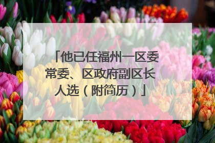 他已任福州一区委常委、区政府副区长人选（附简历）