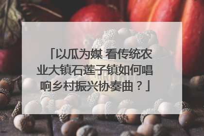 以瓜为媒 看传统农业大镇石莲子镇如何唱响乡村振兴协奏曲？