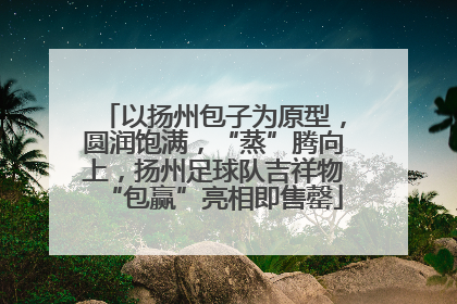 以扬州包子为原型，圆润饱满，“蒸”腾向上，扬州足球队吉祥物“包赢”亮相即售罄