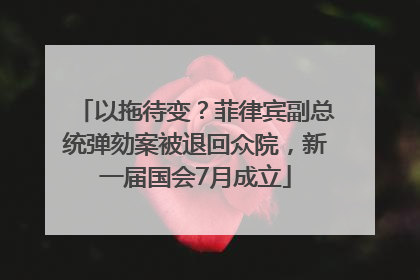 以拖待变？菲律宾副总统弹劾案被退回众院，新一届国会7月成立