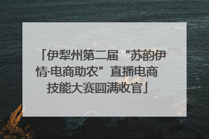伊犁州第二届“苏韵伊情·电商助农”直播电商技能大赛圆满收官