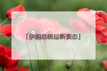 伊朗总统最新表态