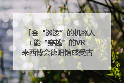 会“巡逻”的机器人+能“穿越”的VR 来西博会德阳馆感受古蜀文明与现代智造的时空对话｜西博视界