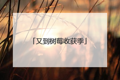 又到树莓收获季