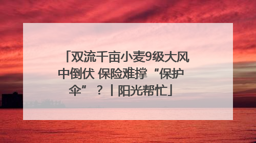 双流千亩小麦9级大风中倒伏 保险难撑“保护伞”？丨阳光帮忙