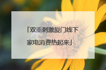 双重刺激厦门线下家电消费热起来