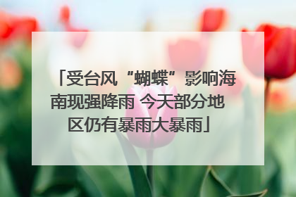 受台风“蝴蝶”影响海南现强降雨 今天部分地区仍有暴雨大暴雨