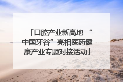 口腔产业新高地 “中国牙谷”亮相医药健康产业专题对接活动