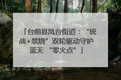 台前县凤台街道：“统战+禁烧”双轮驱动守护蓝天 “零火点”
