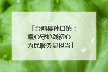台前县孙口镇：暖心守护践初心 为民服务显担当