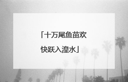 十万尾鱼苗欢快跃入湟水
