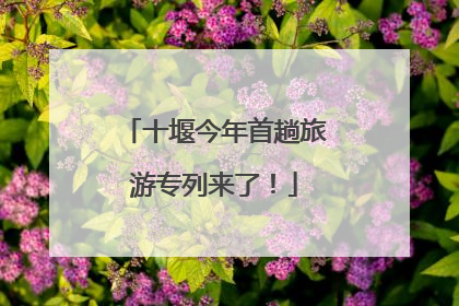 十堰今年首趟旅游专列来了！
