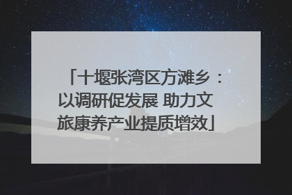十堰张湾区方滩乡：以调研促发展 助力文旅康养产业提质增效