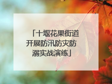 十堰花果街道开展防汛防灾防溺实战演练