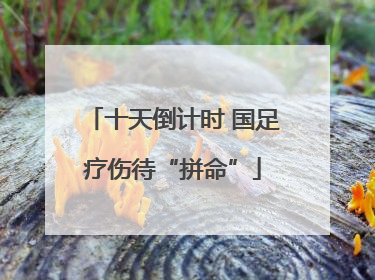 十天倒计时 国足疗伤待“拼命”