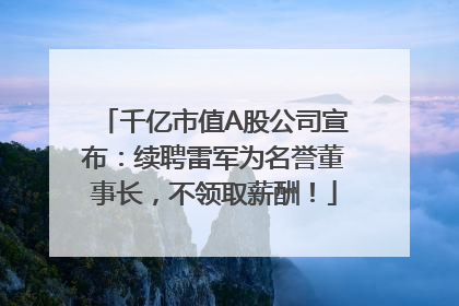 千亿市值A股公司宣布：续聘雷军为名誉董事长，不领取薪酬！