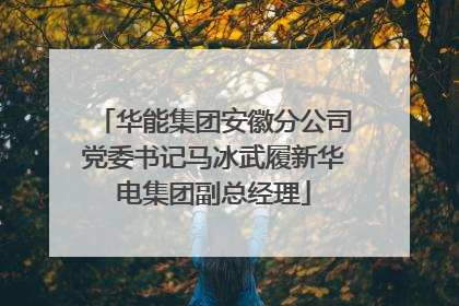 华能集团安徽分公司党委书记马冰武履新华电集团副总经理