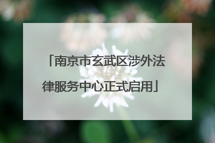 南京市玄武区涉外法律服务中心正式启用