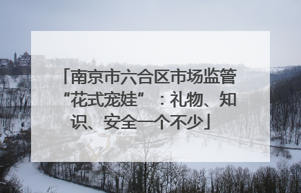 南京市六合区市场监管“花式宠娃”：礼物、知识、安全一个不少