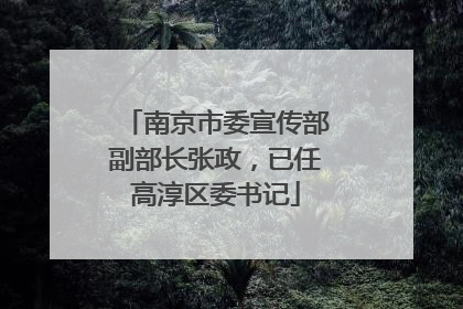 南京市委宣传部副部长张政，已任高淳区委书记