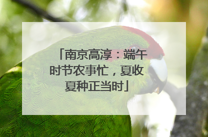 南京高淳：端午时节农事忙，夏收夏种正当时