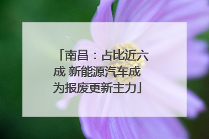 南昌：占比近六成 新能源汽车成为报废更新主力