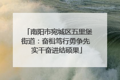 南阳市宛城区五里堡街道：奋楫笃行勇争先 实干奋进结硕果