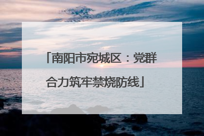 南阳市宛城区：党群合力筑牢禁烧防线