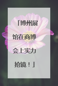 博州展馆在商博会上实力抢镜！