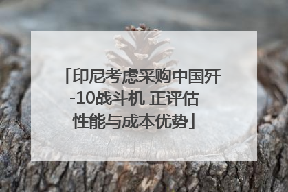 印尼考虑采购中国歼-10战斗机 正评估性能与成本优势