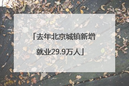 去年北京城镇新增就业29.9万人