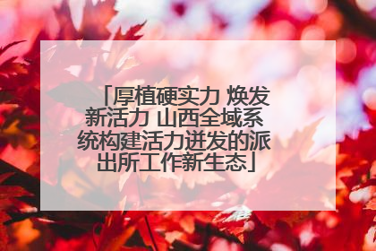 厚植硬实力 焕发新活力 山西全域系统构建活力迸发的派出所工作新生态