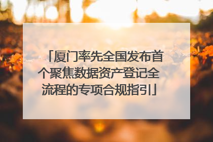 厦门率先全国发布首个聚焦数据资产登记全流程的专项合规指引