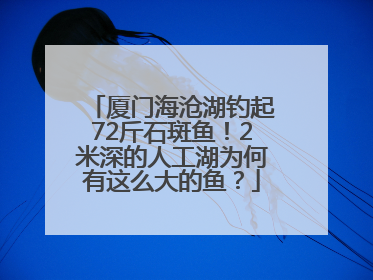 厦门海沧湖钓起72斤石斑鱼！2米深的人工湖为何有这么大的鱼？