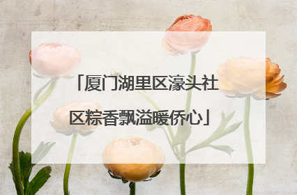 厦门湖里区濠头社区粽香飘溢暖侨心