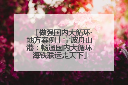 做强国内大循环·地方案例丨宁波舟山港：畅通国内大循环海铁联运走天下