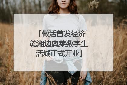 做活首发经济 赣湘边奥莱数字生活城正式开业