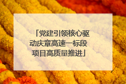 党建引领核心驱动庆章高速一标段项目高质量推进