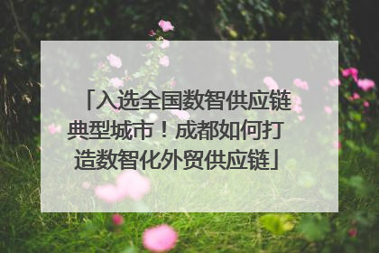 入选全国数智供应链典型城市！成都如何打造数智化外贸供应链