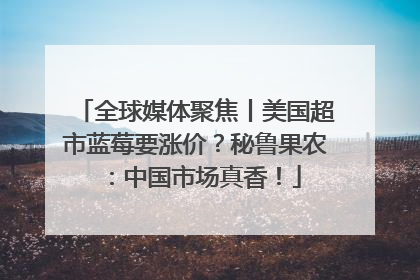 全球媒体聚焦丨美国超市蓝莓要涨价？秘鲁果农：中国市场真香！