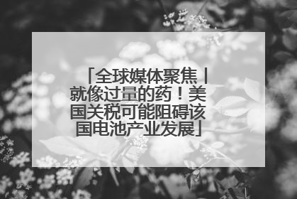全球媒体聚焦丨就像过量的药！美国关税可能阻碍该国电池产业发展