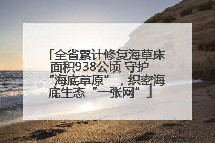 全省累计修复海草床面积938公顷 守护“海底草原”，织密海底生态“一张网”