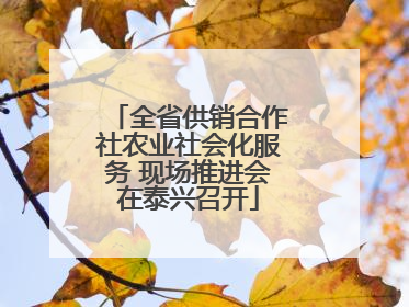 全省供销合作社农业社会化服务 现场推进会在泰兴召开