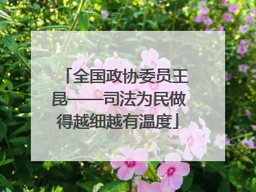 全国政协委员王昆——司法为民做得越细越有温度