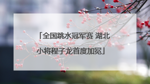 全国跳水冠军赛 湖北小将程子龙首度加冕