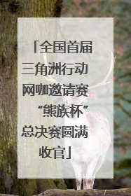 全国首届三角洲行动网咖邀请赛“熊族杯”总决赛圆满收官