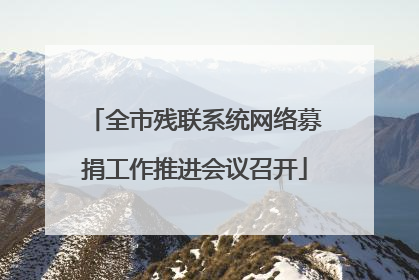 全市残联系统网络募捐工作推进会议召开